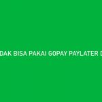 TIDAK BISA PAKAI GOPAY PAYLATER DI TOKOPEDIA